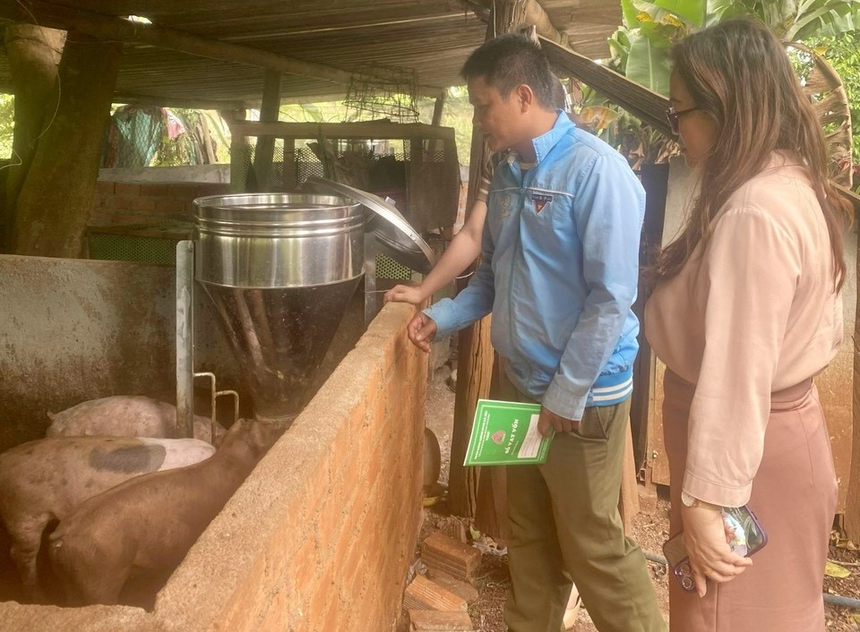 Phát triển chăn nuôi, tạo việc làm từ nguồn vốn vay tín dụng chính sách